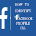 Check your Facebook Profile URL