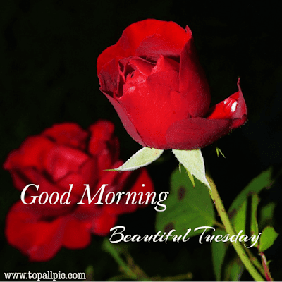 good morning tuesday images good morning tuesday images