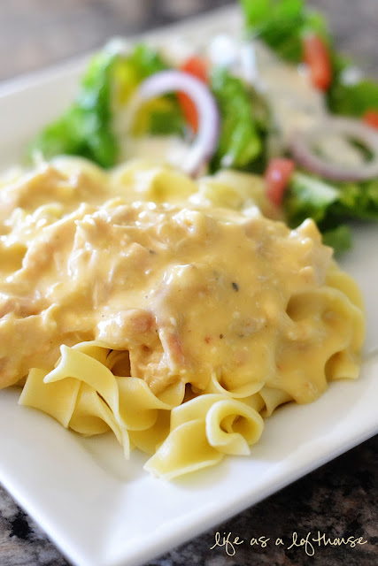 Crock Pot Creamy Italian Chicken is chicken breasts slow cooked in a creamy mixture full of Italian flavor. Life-in-the-Lofthouse.com