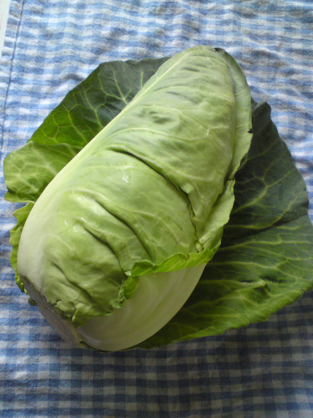 pyszna przystawka kapusta stożkowa sweetheart cabbage