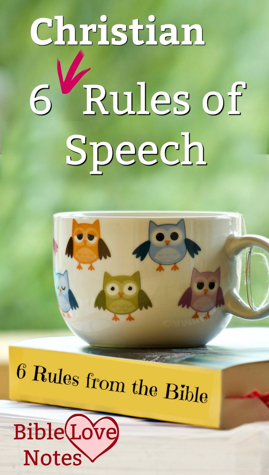 Bible Love Notes 6 Christian Rules of Speech Developing Godly Speech