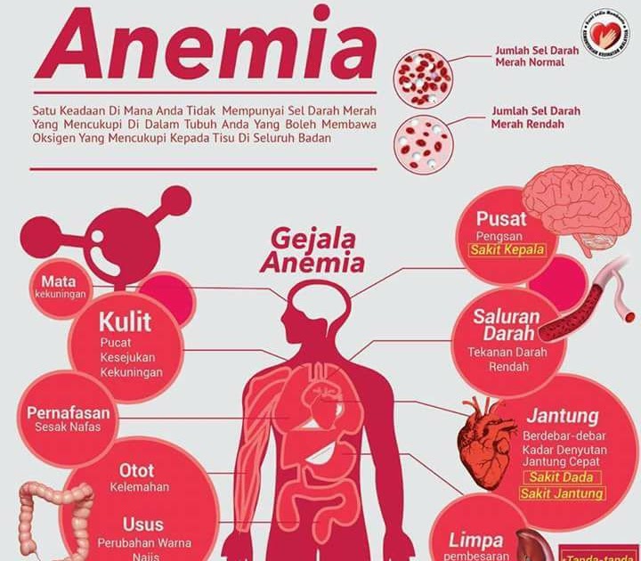 National Cancer Society of Malaysia, Penang Branch Anemia
