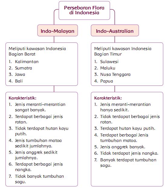 Rangkuman Dan Soal Tema 1 Subtema 2 Kelas 5 Manusia Dan Lingkungan Partnermatematika Com