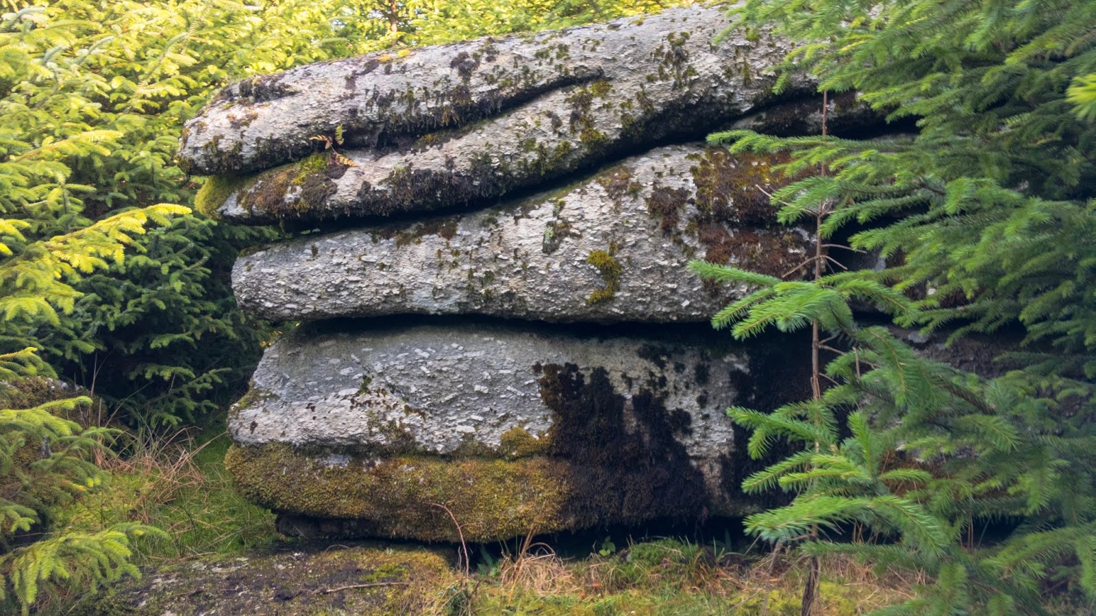 Max Piper Tor Bagger Dartmoor Finding the elusive Lowton Borough Rocks