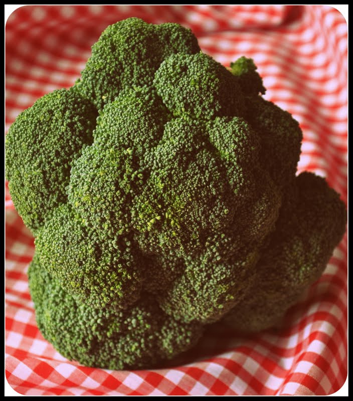 A Taste of Italy "That's Amore!" Pasta e fagioli ( original Italian Pasta and Beans recipe)