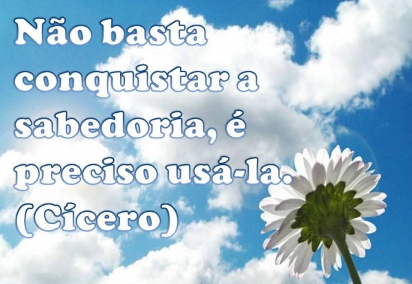 frases e imagens bonitas para compartilhar no facebook
