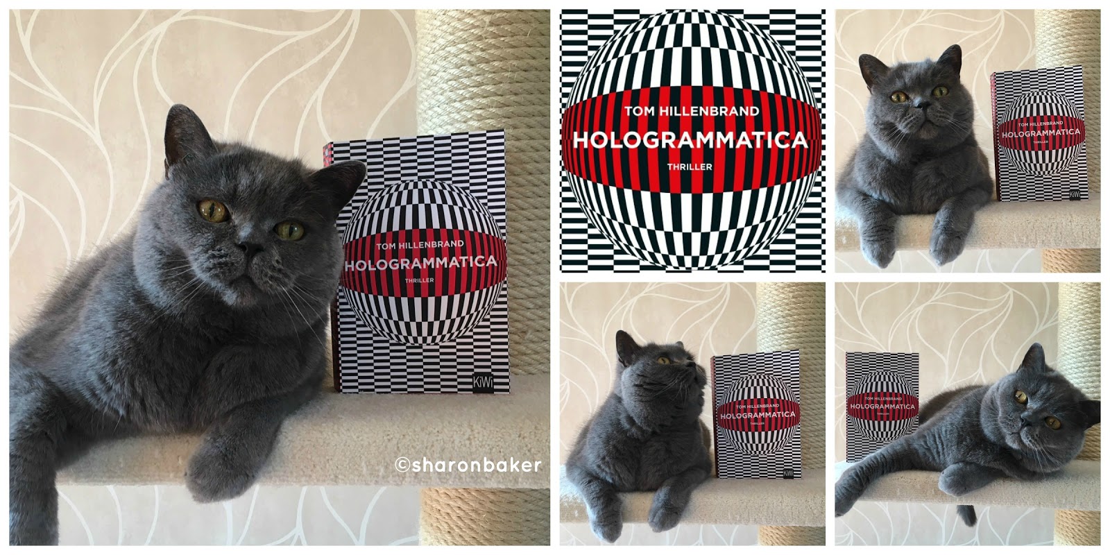 Blog Page 2 Pirckheimer Gesellschaft