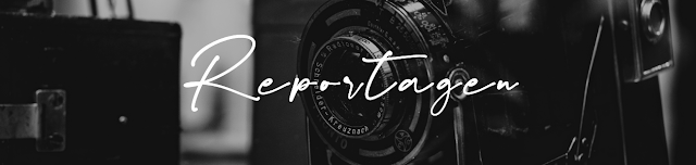 Nisnis Bucherliebe Handlettering Erstes Lettern Als Newbie 3