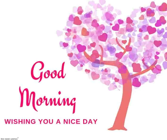 good morning wishing you a nice day