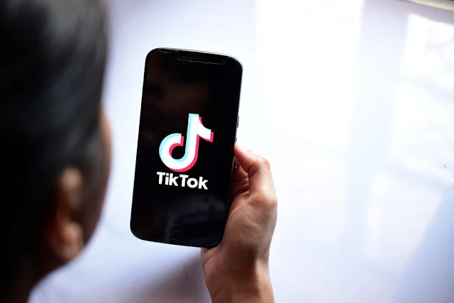 Top 10 TikTok Statistics For Content Marketers (infographic)