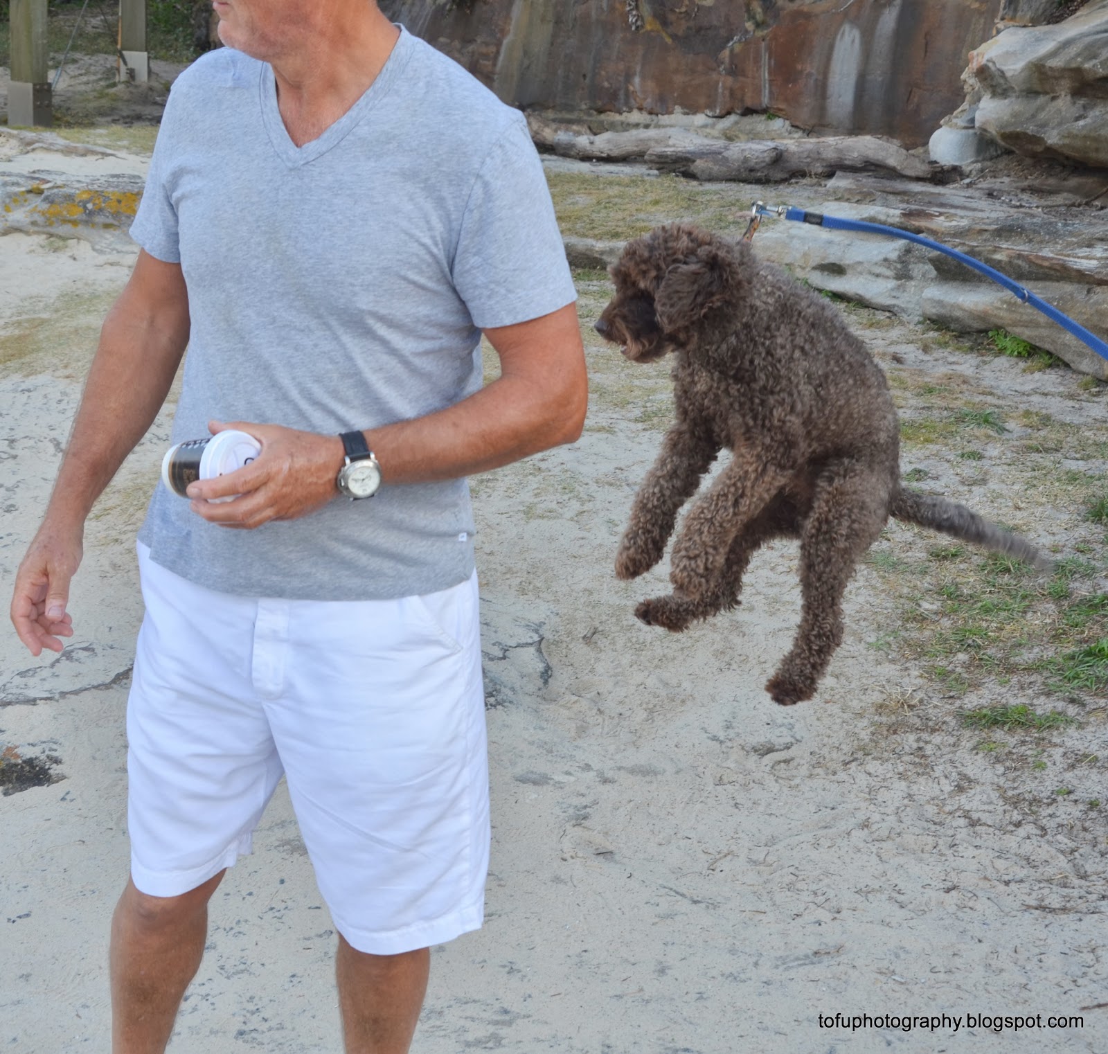 Tofu Photography Bouncing dog