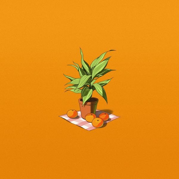 Kozypop – Seoul Vibes, Citrus – EP