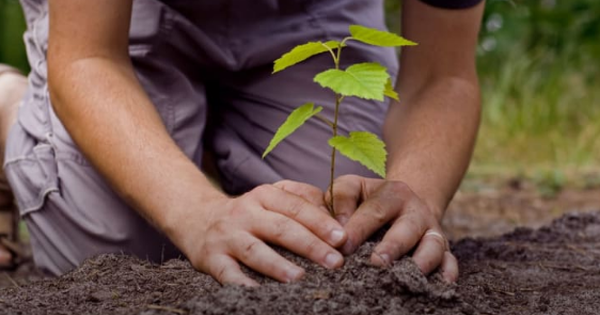 Hak Dan Kewajiban Terhadap Sumber Daya Alam Tema 9 Subtema 2 Pembelajaran 4 Imron Web Id Hak Dan Kewajiban Terhadap Sumber Daya Alam Tema 9 Subtema 2 Pembelajaran 4 Imron Web Id