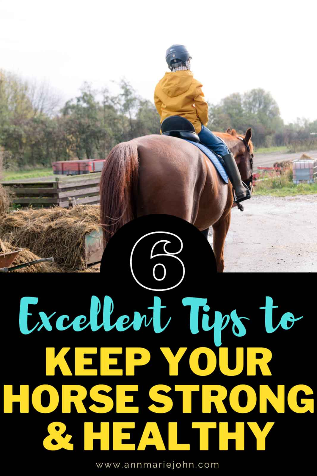 Tips That Will Keep Your Pet Horse Strong and Healthy