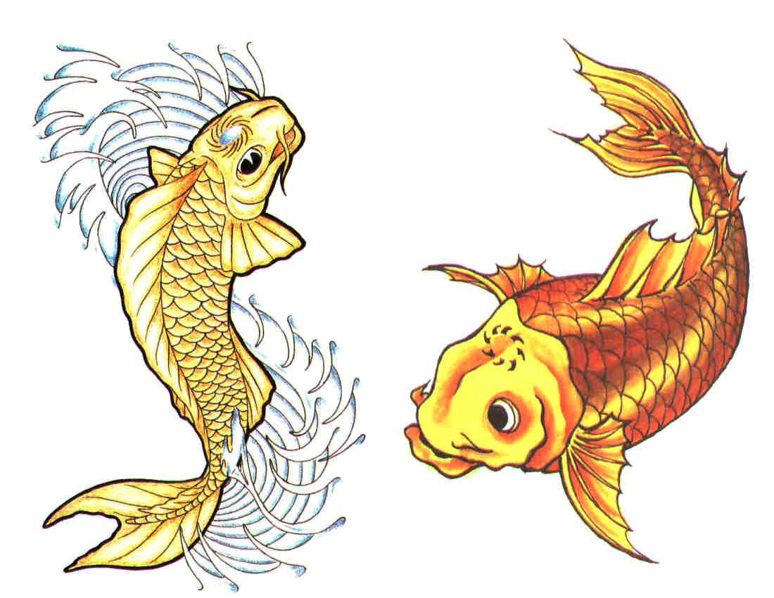Золотой карп 2. Золотая рыбка. Две рыбки. Рыбка рисунок. Две красивые рыбки.