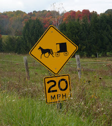 Horse & Buggy Road Sign