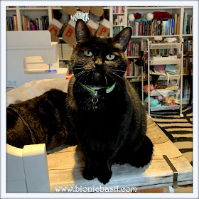 Crafting with Cats Catmas Special - Part 3  ©BionicBasil® Parsley was today's Craft Room Snoopervisor