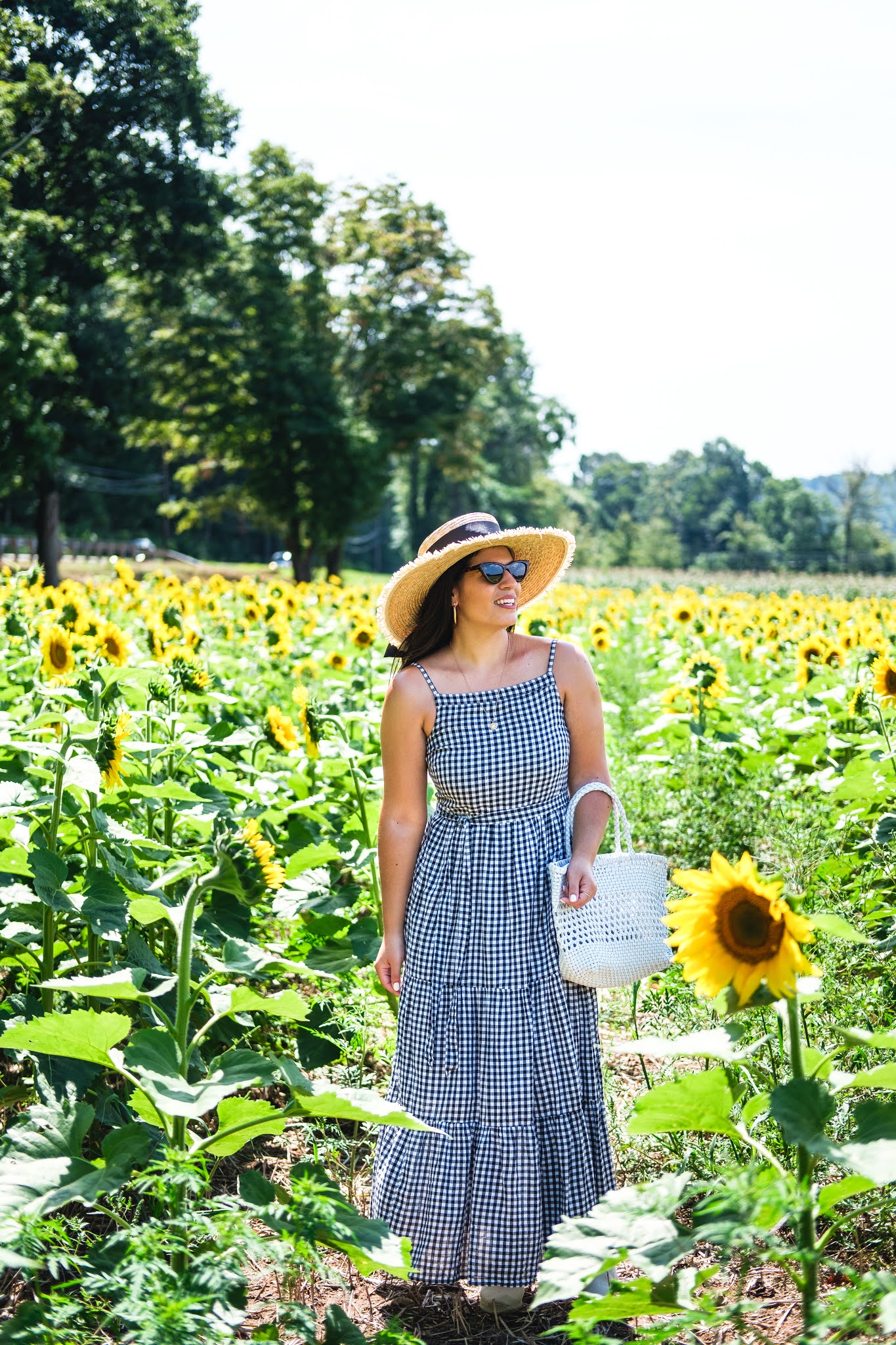 Sea of Sunflowers - Chic on the Cheap