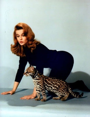 Kittne With A Whip 1964 Ann Margret Image 6