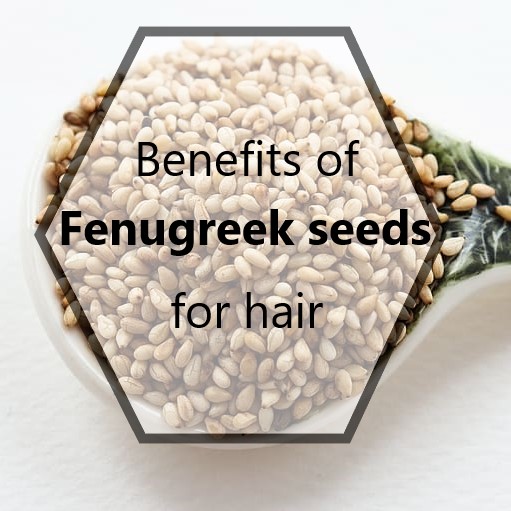 fenugreek-seeds-benefits-for-hair-growth