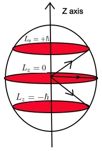 Quantization Of Angular Momentum