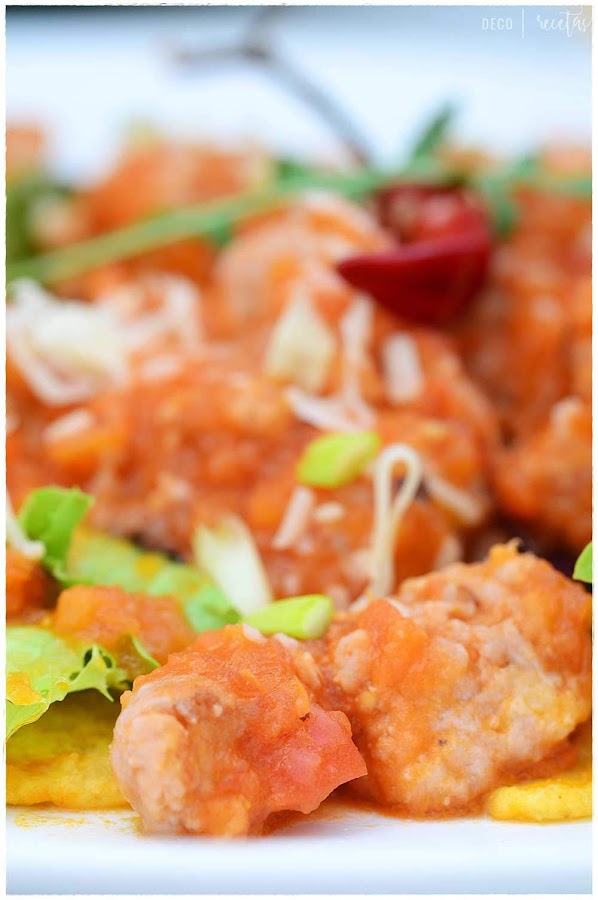 saludables comida mexicana recetas sencillas recetas mexicanas gourmet recetas mexicanas tacos tacos de tinga de pollo tinga de pollo receta original tinga de pollo thermomix tinga de pollo mexicano tinga de pollo sin chipotle tostadas de tinga de pollo tinga de pollo receta dela abuela como preparar tinga de pollo casera tacos de tinga de pollo tinga de pollo receta original tinga de pollo thermomix tinga de pollo mexicano tinga de ternera tinga mexicanas receta hacer tinga cocinar tinga