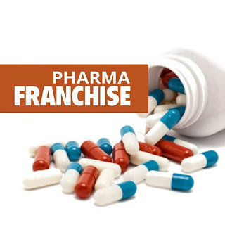 Key Points to Consider While Starting a Pharma Franchise Business