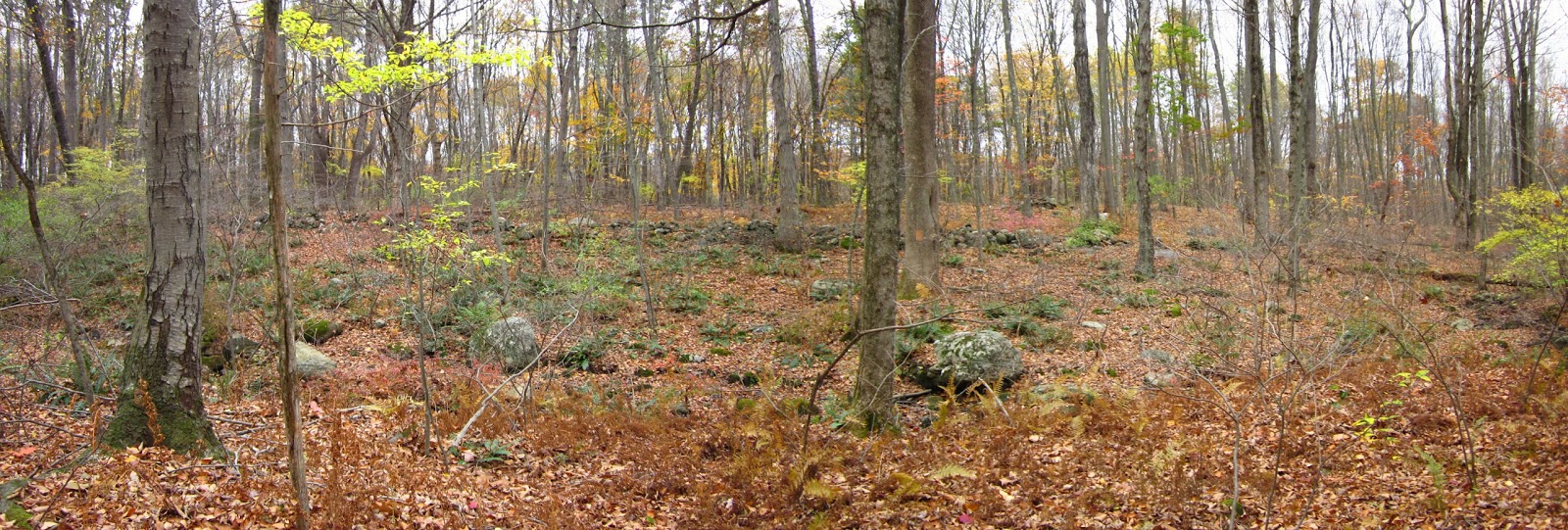 Rock Piles Quanopaug Trail Rock Pile