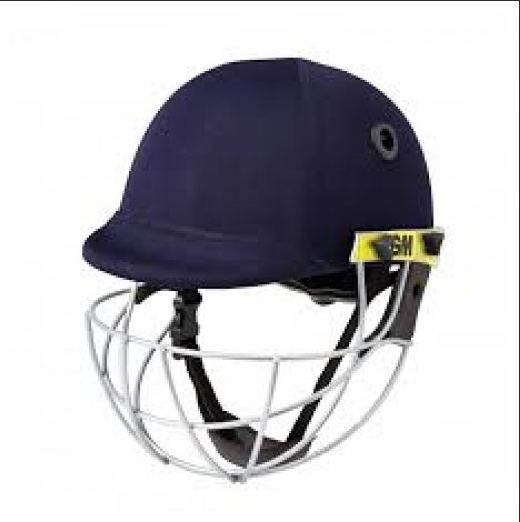 Panther Sports Ltd Buy Cricket Helmets Online in UK What to Consider