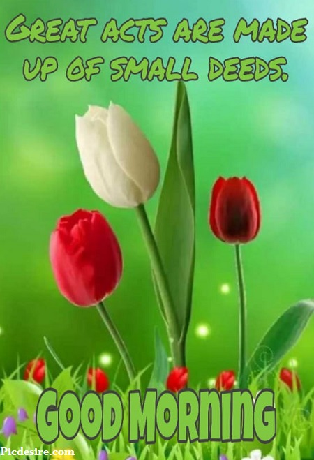 50 Beautiful Good Morning Quotes and Saying 50 Beautiful Good Morning Quotes and Saying