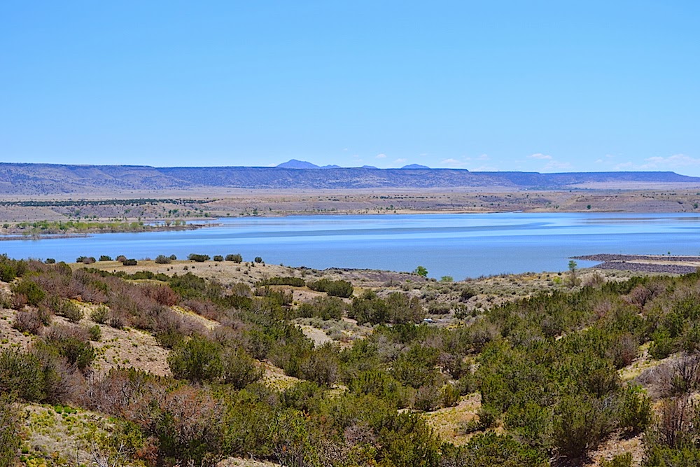 The Lion's Game April 2015