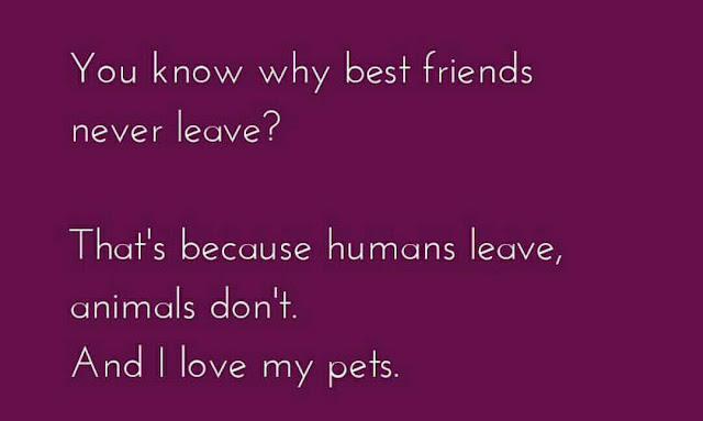 Friendship Quotes Photos