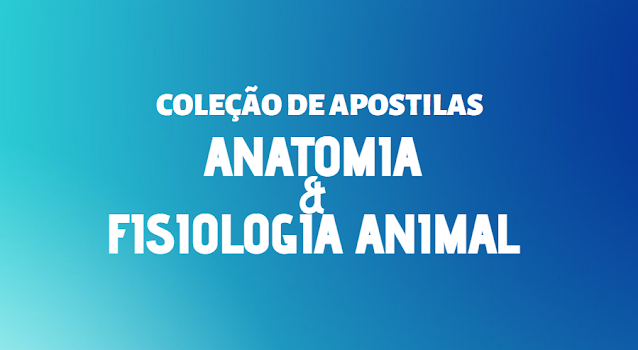 anatomia veterinaria animal pdf