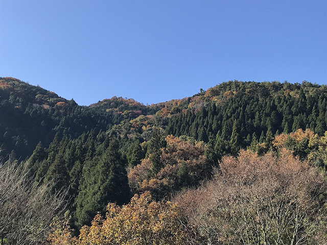 島根県　石拾い