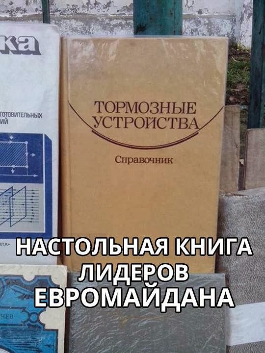 Как завоевать мир не привлекая внимания санитаров картинка