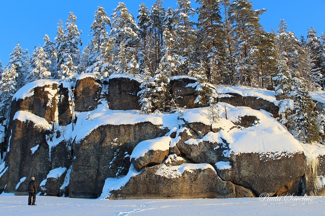 Lintuinvuoren kallio talvella