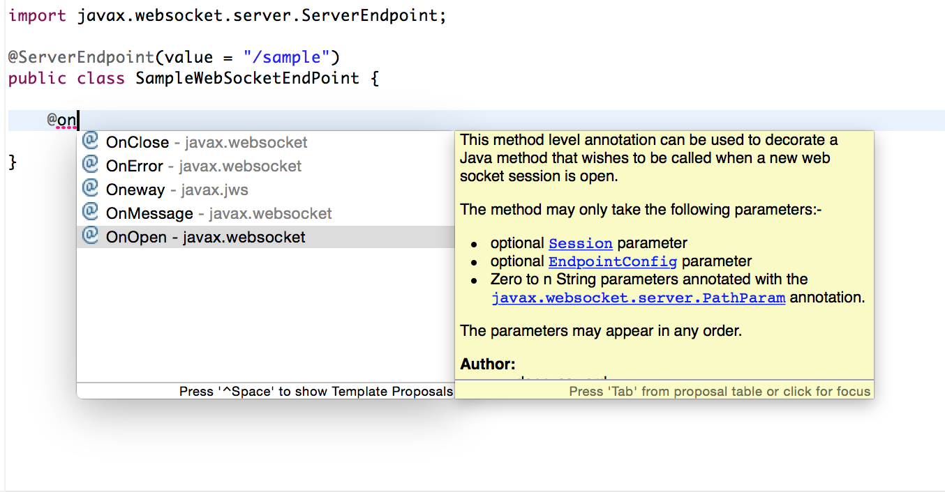 Server Endpoint Java socket at Jamie Spinelli blog