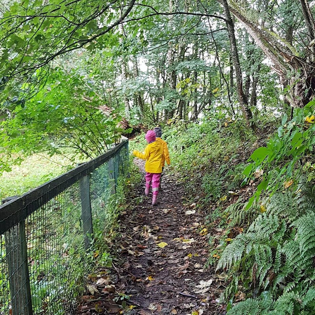 Urlaub auf Fanø mit Kindern: 3 weitere Ausflüge für Familien. Eltern und Kinder sollten beim Ausflug zu den Vogelkojen leise sein, um die Vögel nicht zu erschrecken.