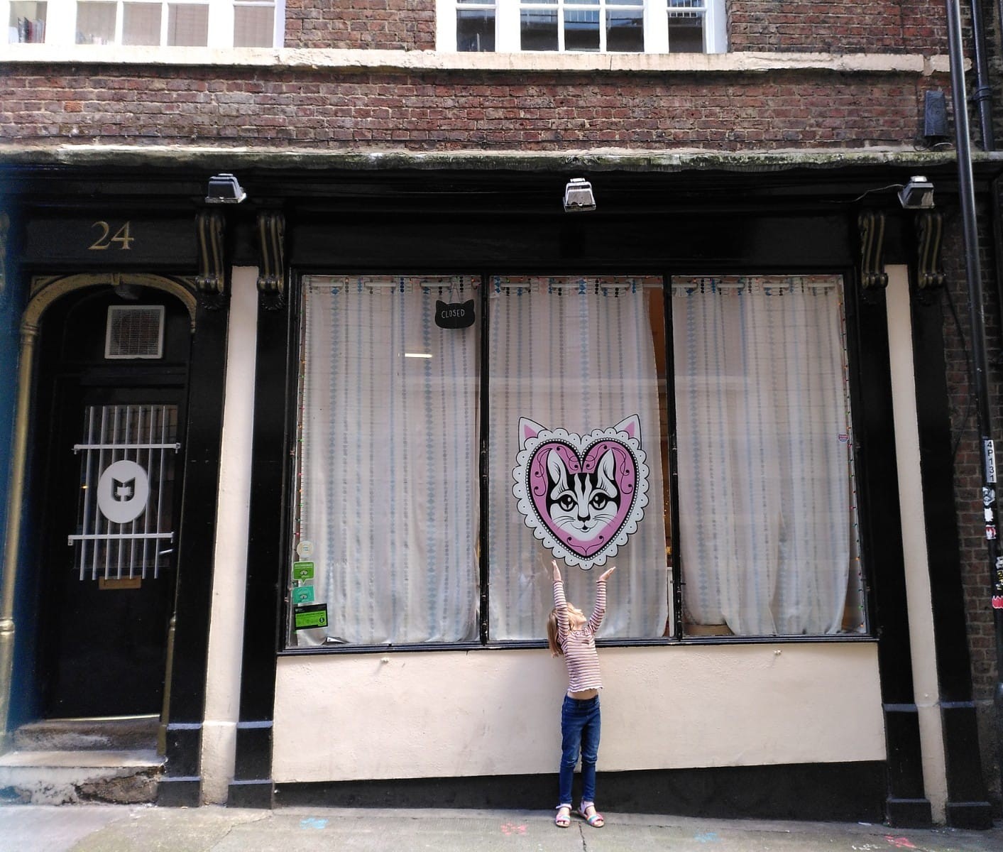 Mog on the Tyne Newcastle Cat Cafe Review North East Family Fun