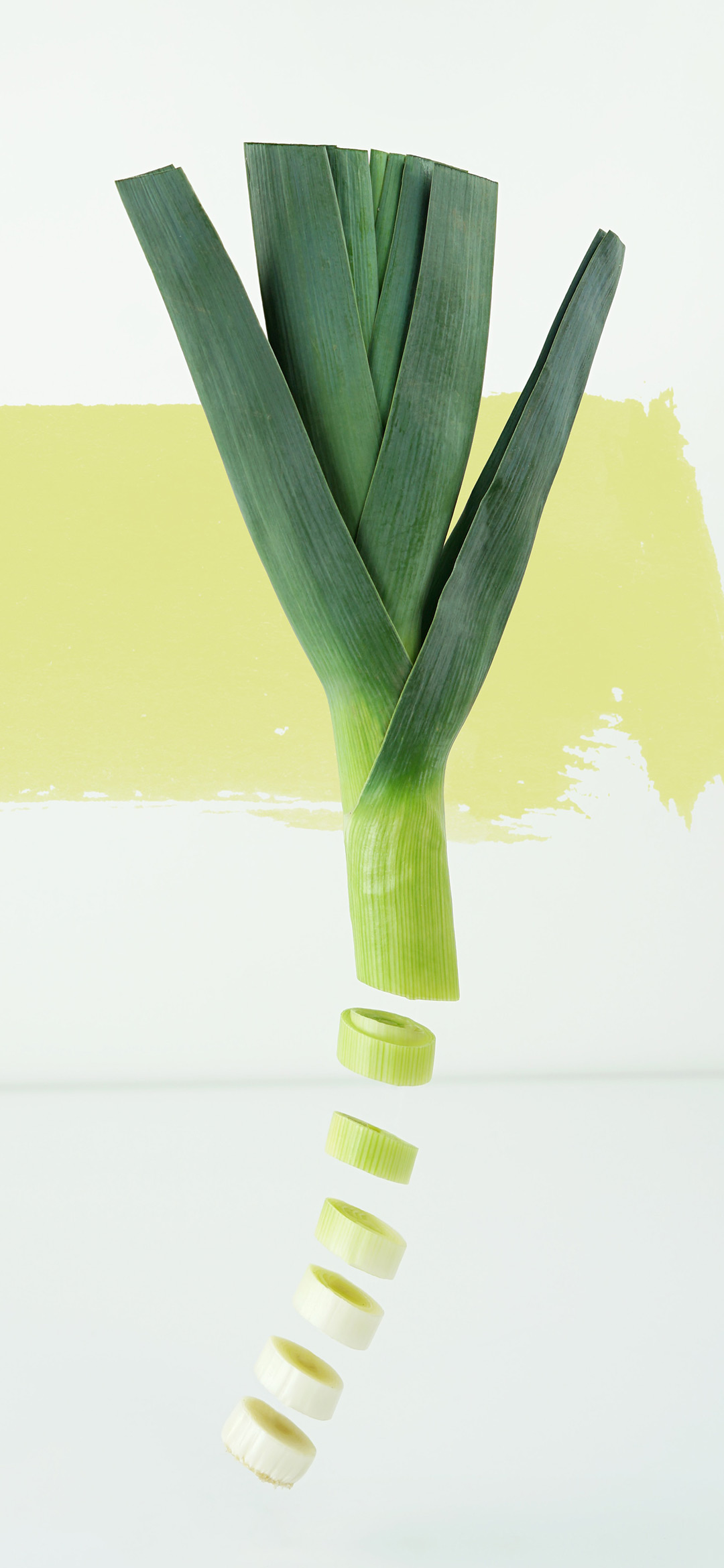 Green-sliced-onion-wallpaper