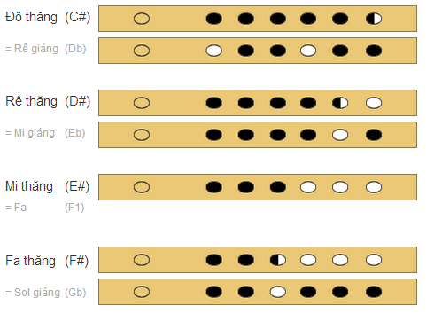 Cách thổi sáo 7 nốt thăng # trên sáo 6 lỗ