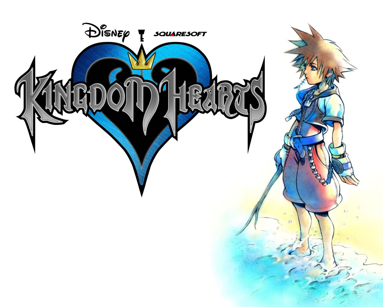 kingdom_hearts_wall_21.jpg