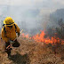 9 incendios forestales activos en la región de La Araucanía: Ercilla y Collipulli con Alerta Roja