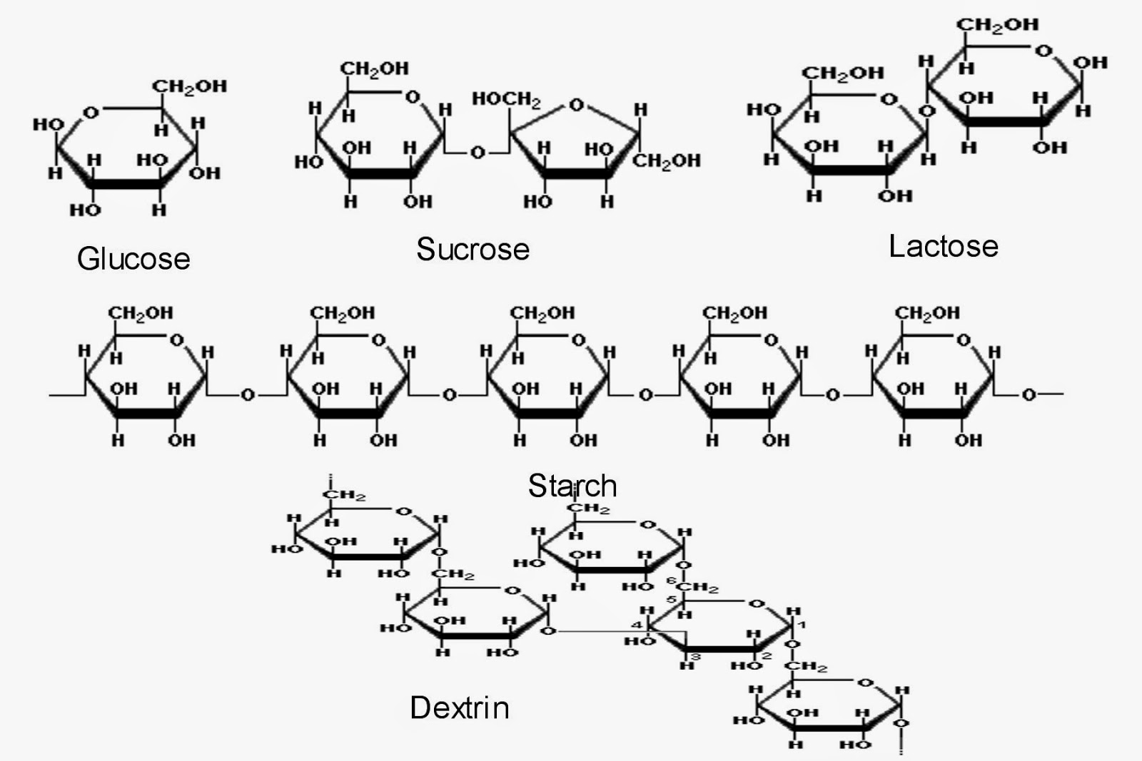 download free structure of carbohydrates download free structure of carbohydrates