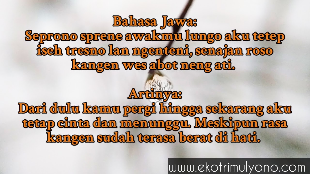 Kata Kata Kangen Bahasa Jawa Dan Artinya