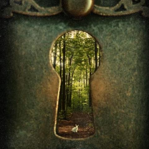 Saint Marty: January 7: My Keyhole, Edit the Universe, Kim Addonizio