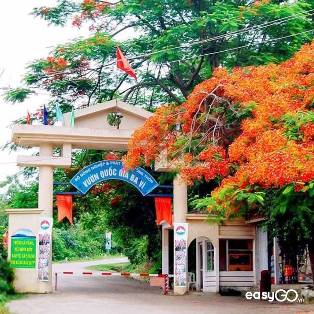 địa điểm du lịch ba vì địa điểm du lịch ba vì