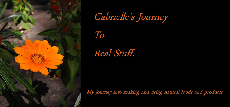 Gabrielle's Journey To Real Stuff