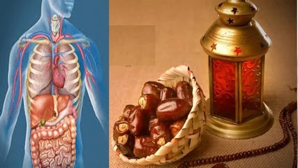 شات ملاكي شات تعب قلبي دردشة ملاكي للجوال شات اهل العرب شات ملاكي شات تعب قلبي دردشة ملاكي للجوال شات اهل العرب