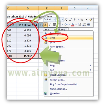  Gambar:  Cara copy tabel di microsoft excel